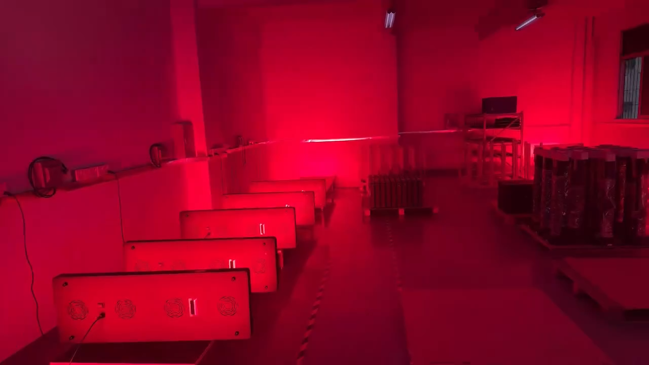 Oasis Bloom product video